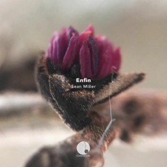Sean Miller - Je T'aime - Original Mix /// Cadenza Music
