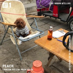 Peach 004 - CANCON special w Yu Su