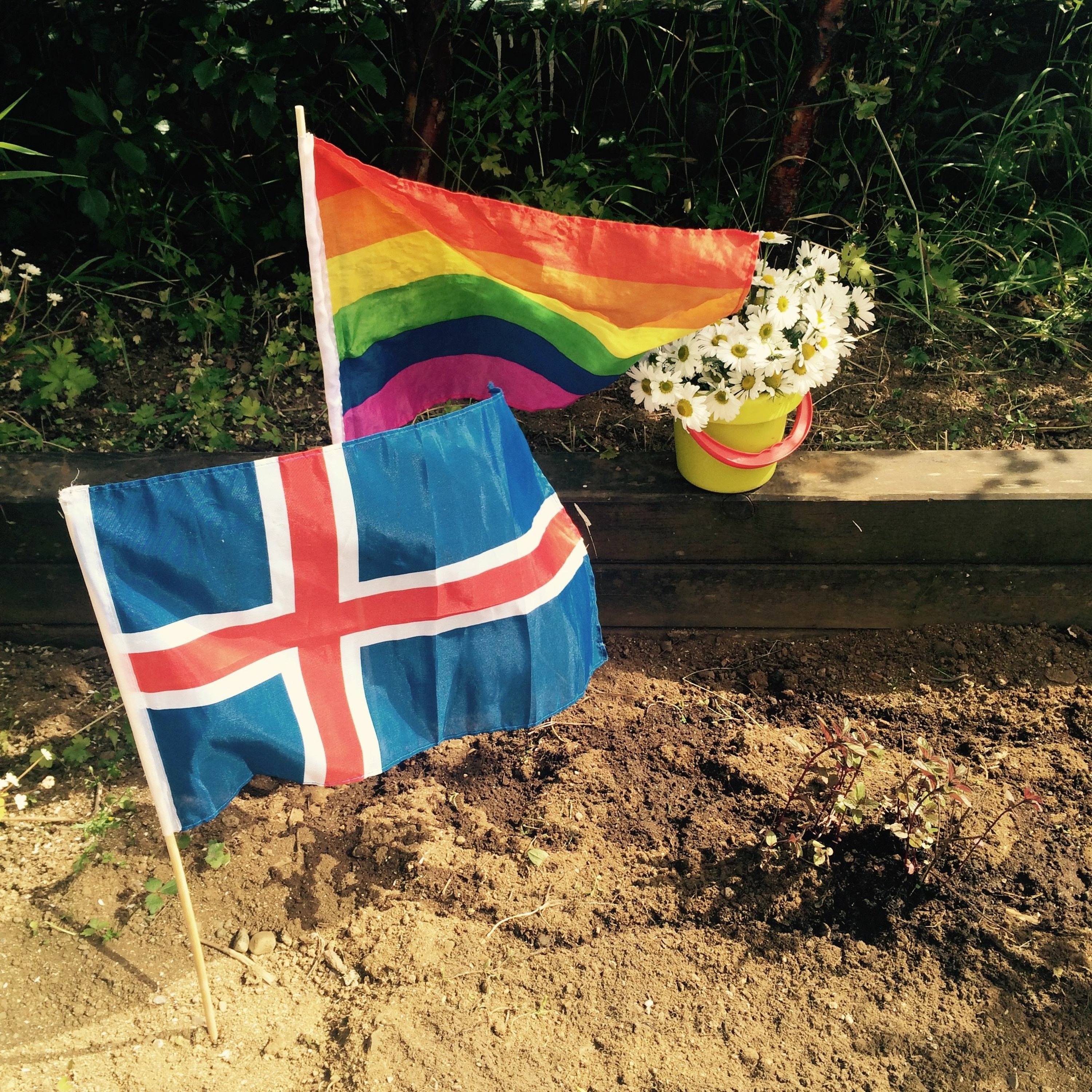 Sex in Iceland