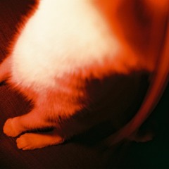 Dilan Balkay - Inside (Demo 2)