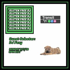 Gluten Free DJ - Transit.FM 5/7/18 DJ Foxy Guestmix