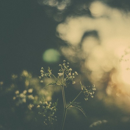 Hotel Neon - Means Of Knowing