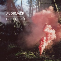 Audiojack - Warehouse (Pig&Dan Remix)