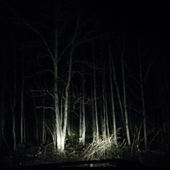 l u c i f e r ' s   ☆   g a r d e n