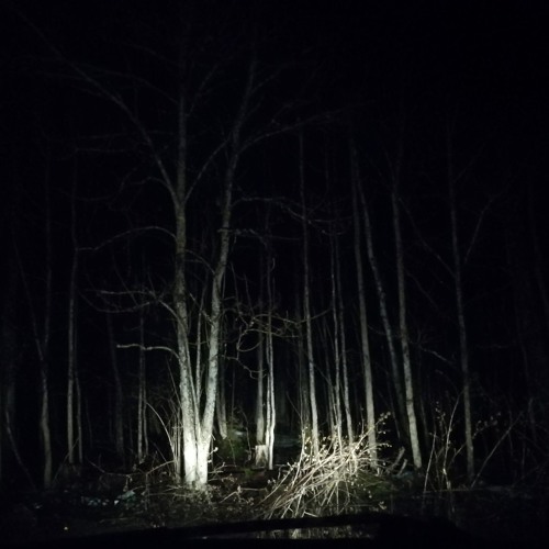 l u c i f e r ' s   ☆   g a r d e n