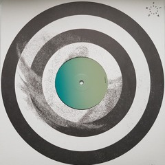 Florian Meindl - Metaphysics EP Incl. Denise Rabe Rmx 12" Ltd300
