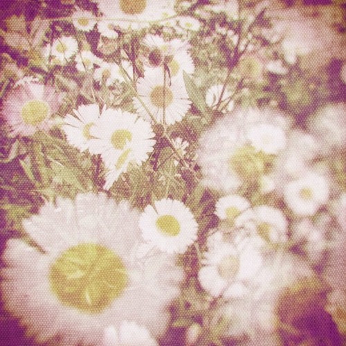 wlr039 Valotihkuu - Fragile Melodies