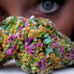Moe Gotti - True Colors