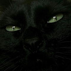 ВЕДЬМА / WITCH