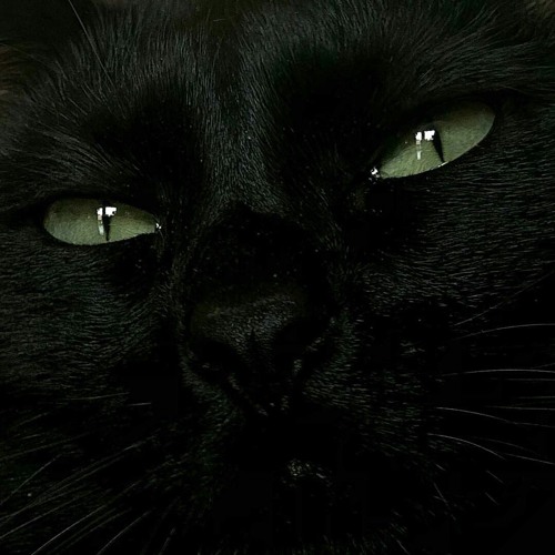 ВЕДЬМА / WITCH