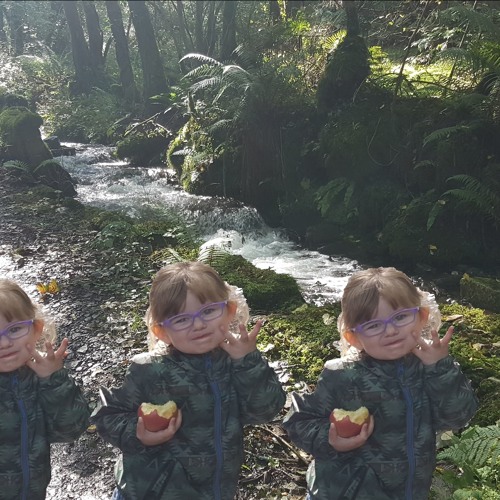 Luke Whitton - Billy Boing