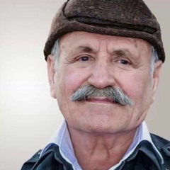 لەسەر بستووی ژیان. عەزیز شاهروخ