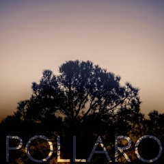 Sounds Of The Boonies