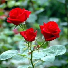 (FREE) *50s* PIERRE BOURNE TYPE BEAT