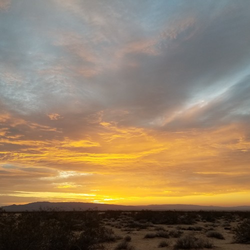 Integral Gathering April 14th 2018