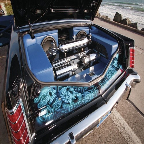 Warhol.SS - Birds Nest