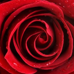 Часики (версия с регулами)