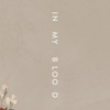 Shawn Mendes In My Blood Mp3