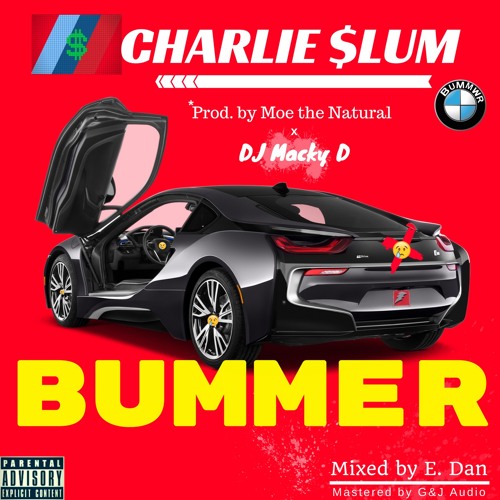 BUMMER (prod. Moe The Natural x DJ Macky D)