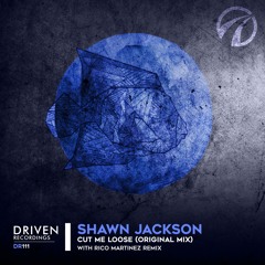 shawn jackson - Cut Me Loose (Original Mix)