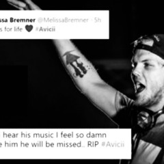 Levels Remix (Avicii Tribute) [M1LK M1X]