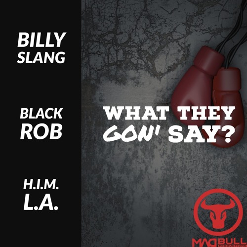 What They Gon' Say? (Feat. Black Rob & H.I.M. L.A.)