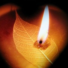 Chính Chúa Chọn Con - Hoàng Thy