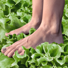 foot lettuce f̰oó͍ṭ̏ͭͩ ̾̚ĺ̯͛et̸̢t̟̔͏u̹͗c̱e