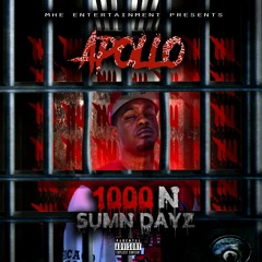 Fasho Fasho-Norfside Apollo×Leeko Mr 2200