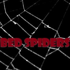 Bed Spiders