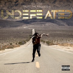Ace Hood - Questions (Interlude)