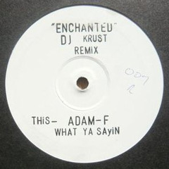 Adam F - Enchanted (DJ Krust Remix) [Section 5 1995]