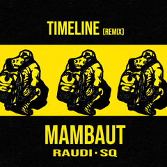 Timeline remix (feat.RAUDI & SQ)