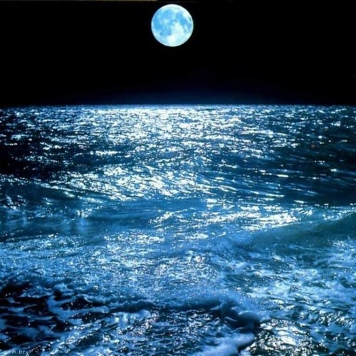 Wilfried Hanrath - Something Tidal