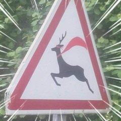 l'aviatek plane avec le cerf
