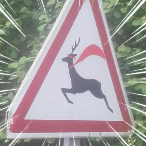 l'aviatek plane avec le cerf
