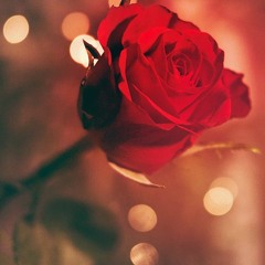 Tango Romantic(Royalty Free Music)