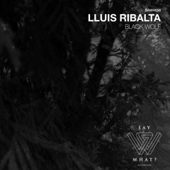 Lluis Ribalta - Things I Never Told You