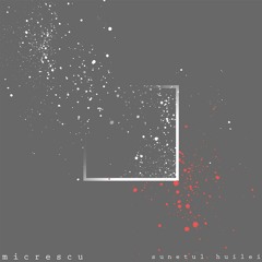 Micrescu - Sunetul Huilei ( unreleased )