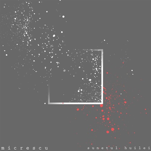 Micrescu - Sunetul Huilei ( unreleased )