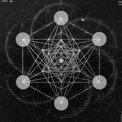 †råπs¡eπt D¡meπs¡øπår¡ez