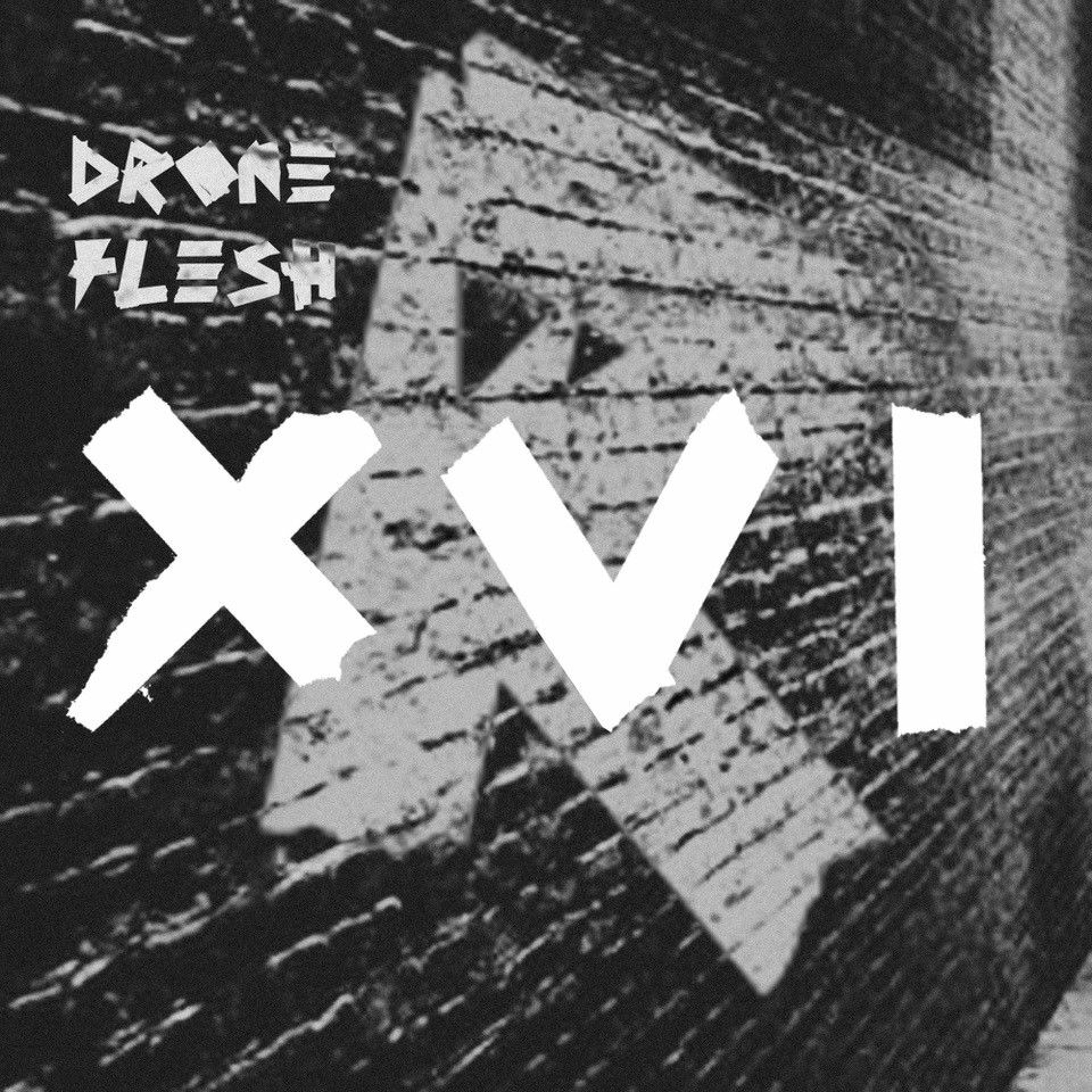 Drone Flesh