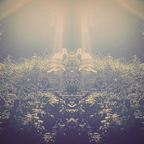 Download Gläntan jag ser ljuset version 2015 raw edit.