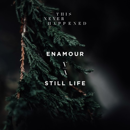 Enamour - Still Life