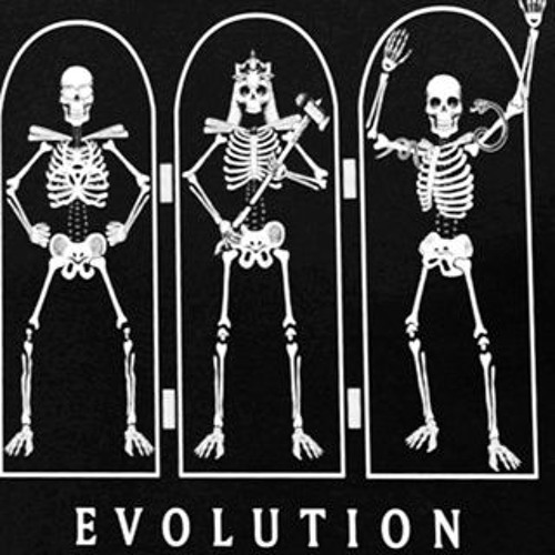 Wwe evolution hotsell free stream