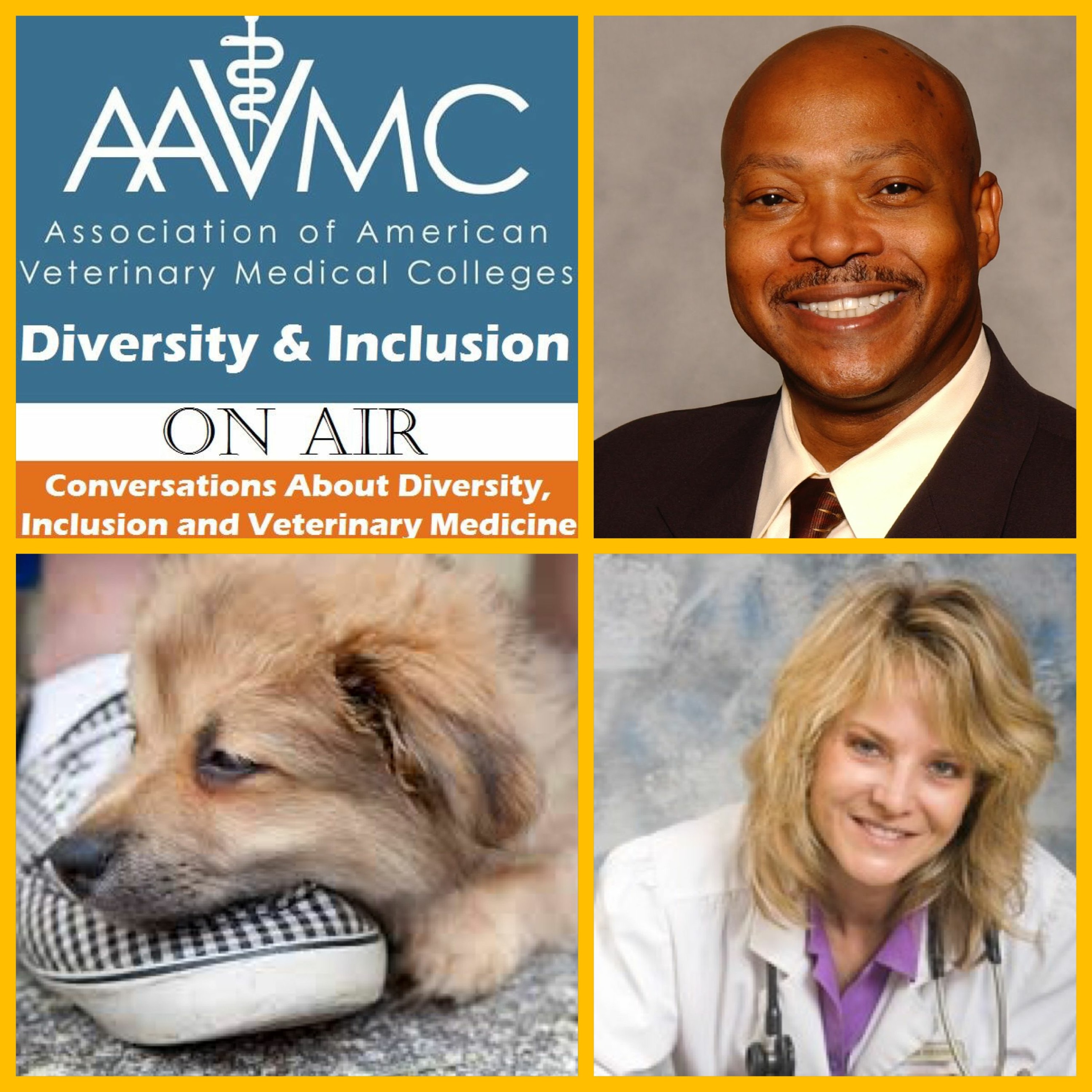 AAVMC\'s On Air: Conversations about Issues in Veterinary Medicine