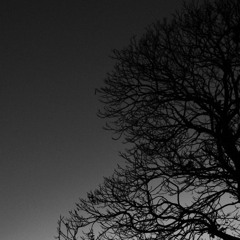 It Was the Woman That Fell