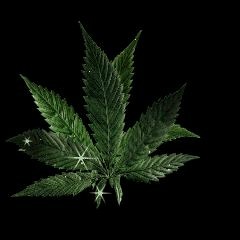 ))))))))))))))