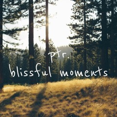 Ptr. - Blissful Moments