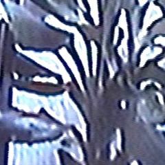 Untitled Instrumental 01